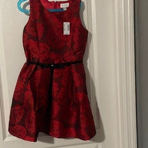 NWT Children’s Place dress
